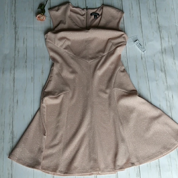 Roz & Ali Dresses & Skirts - NWT ROZ & ALI Blush Pink Fit & Flare Skater Dress